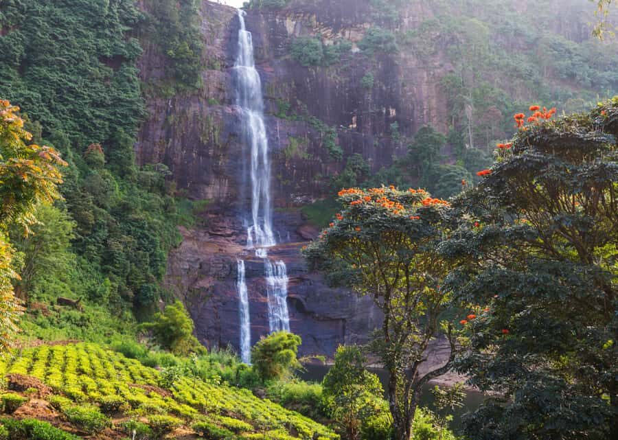 Sri Lanka Private 2-day Tour:Train Trip, Kandy, Nuwara Eliya - The Hill Country Blue Train: the ride you plan around