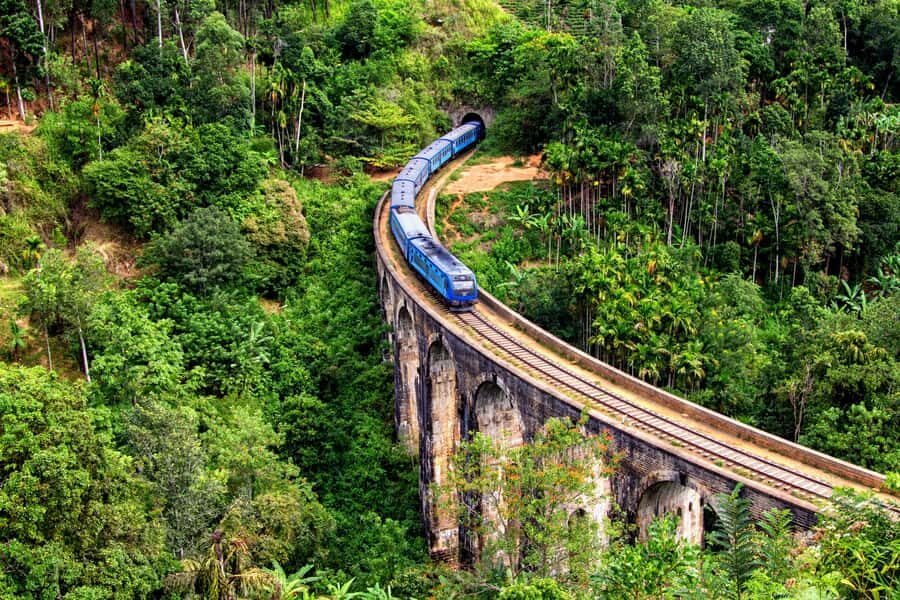 Sri Lanka Private 2-day Tour:Train Trip, Kandy, Nuwara Eliya - Day 2 to Nuwara Eliya: tea plantations, tea factory tasting, and Gregory Lake esplanade