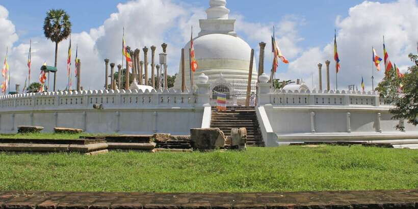 Sri Lanka Private 3-Day Cultural Tour, 5 UNESCO Sites - Minneriya off-road jeep safari: your best wildlife shot, with timing reality