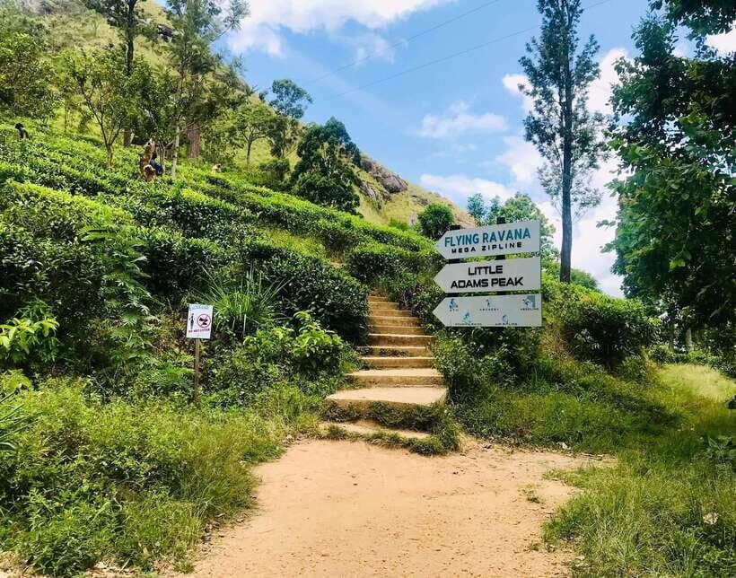 Sri Lanka Private 3-nights Tour Transport, Guide, Hotels - A Four-Day Private Route That Hits Sigiriya, Kandy, and the Hill Country Train