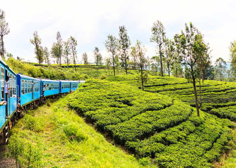 Sri Lanka Private 3-nights Tour Transport, Guide, Hotels - Who This Tour Suits (and Who Should Skip It)