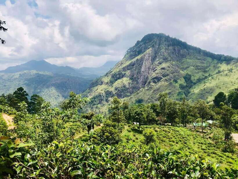 Sri Lanka Private 3-nights Tour Transport, Guide, Hotels - Day 2: Sigiriya Rock Fortress, Dambulla Cave Paintings, Minneriya Safari, and a Real Village Stop