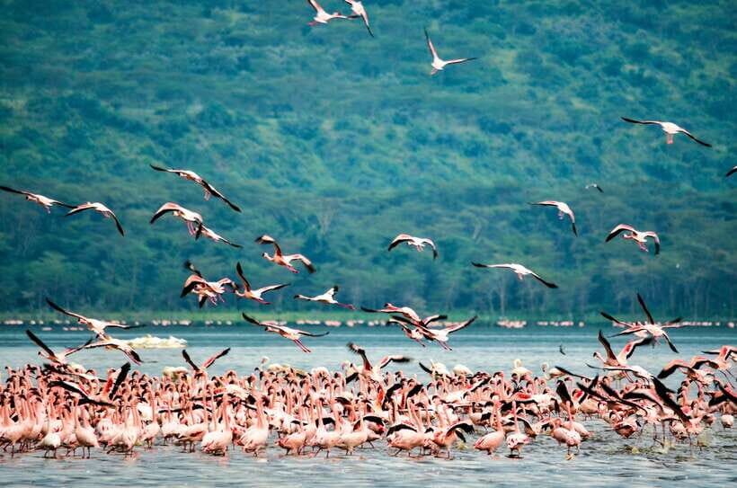 Sri Lanka Private 3-nights Tour Transport, Guide, Hotels - Value Check: What $599 Buys You, and What Costs Extra