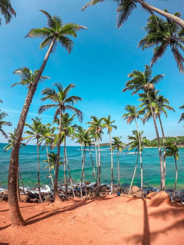 Sri Lanka Private 8-day Tour; Transport, Guide, Hotels, Food - Your private driver-guide: why it matters more than you think