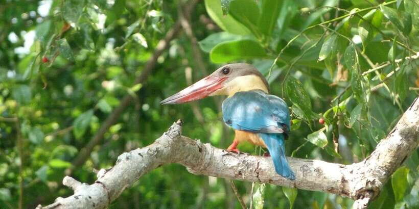 Sri Lanka Private Galle Tour: stilt fisherman, Galle Fort... - Should You Book This Private Galle Day Tour?