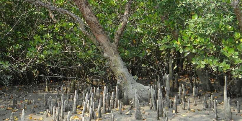 Sri Lanka Private Galle Tour: stilt fisherman, Galle Fort... - Price and Value: What the $70 Covers and What Adds Up