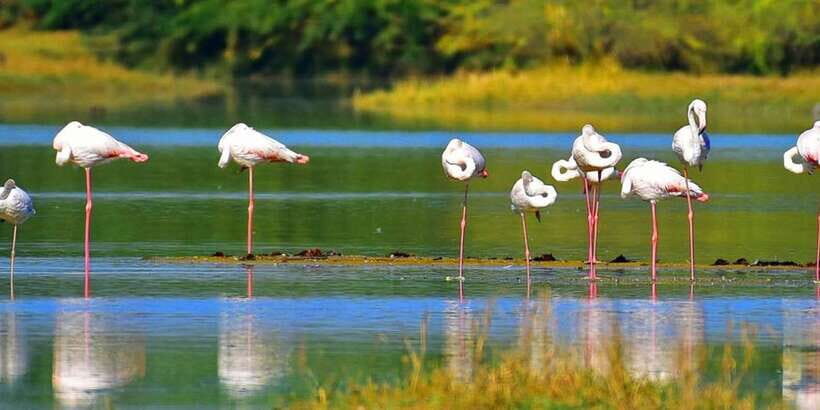 Sri Lanka Private Galle Tour: stilt fisherman, Galle Fort... - Rain or Shine Pacing: What to Expect in a Full 8 Hours