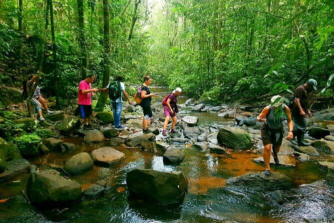 Sri Lanka Sinharaja Rain Forest Tour with Transport - Key things that make this tour worth your time
