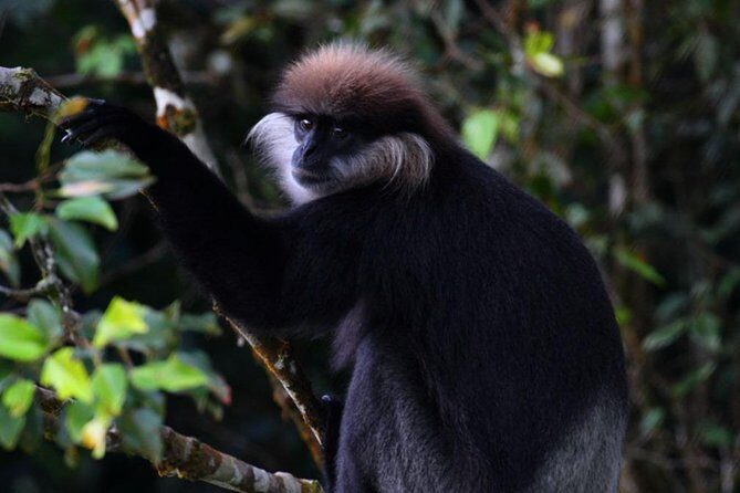 Sri Lanka Sinharaja Rain Forest Tour with Transport - Your Door-to-Door Ride: Comfortable Transport for a Long Road