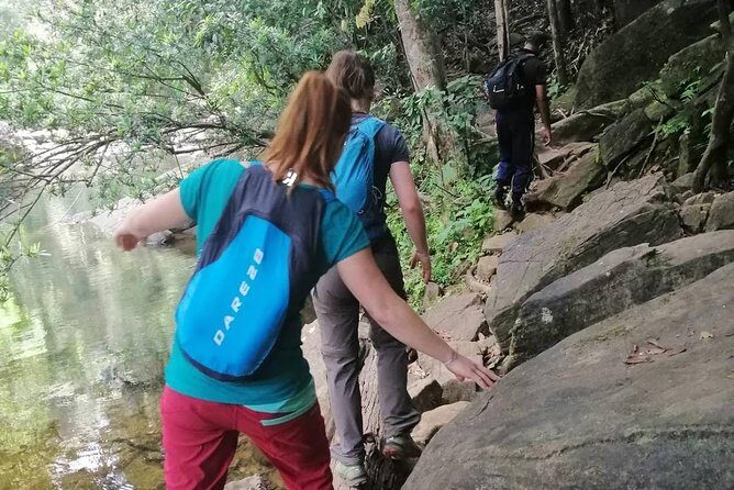 Sri Lanka Sinharaja Rain Forest Tour with Transport - Price and Value: Is $98 a Good Deal for This Forest Day?