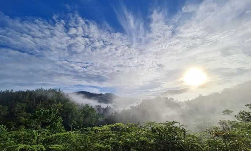 Sri Lanka : Sinharaja Rainforest Guided Trek with Pickup - Safety and rainforest rules: simple but important