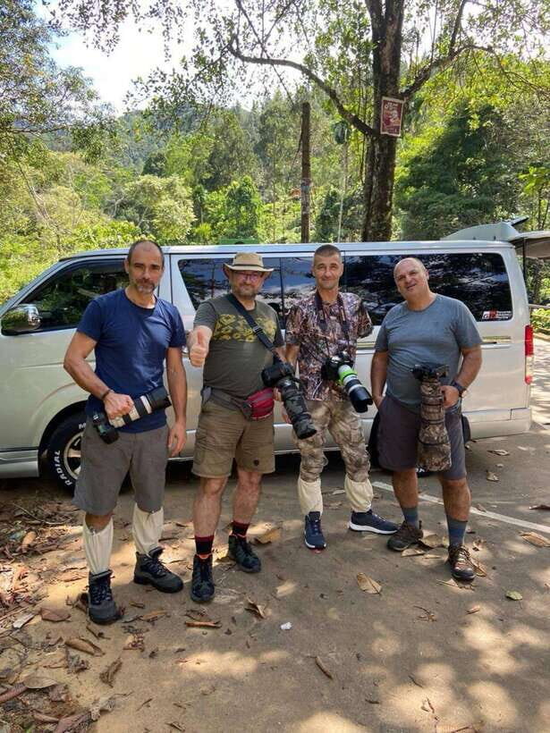 Sri Lanka : Sinharaja Rainforest Guided Trek with Pickup - Price and value: is $96 a smart deal?