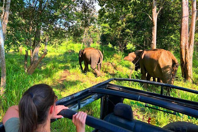 Sri Lanka Tour 06 Nights 07 Days with Hotels & Transport - Negombo Beach and airport ease: getting started without stress