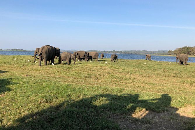 Sri Lanka Tour in 8 Days - Day 4: Ramboda Waterfall photo stop and tea-country Nuwara Eliya
