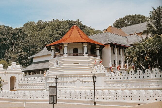 Sri Lanka Tour Plan - 14 Days - Private Transport And Hotel - Day 7: The Nanu Oya to Ella train ride and Nine Arches Bridge