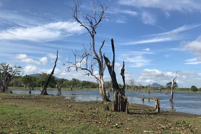 Sri Lanka tours 12-Day wildlife Tour with driver,Car or Van and accommodations - Ella travel by scenic rail plus Little Adam’s Peak