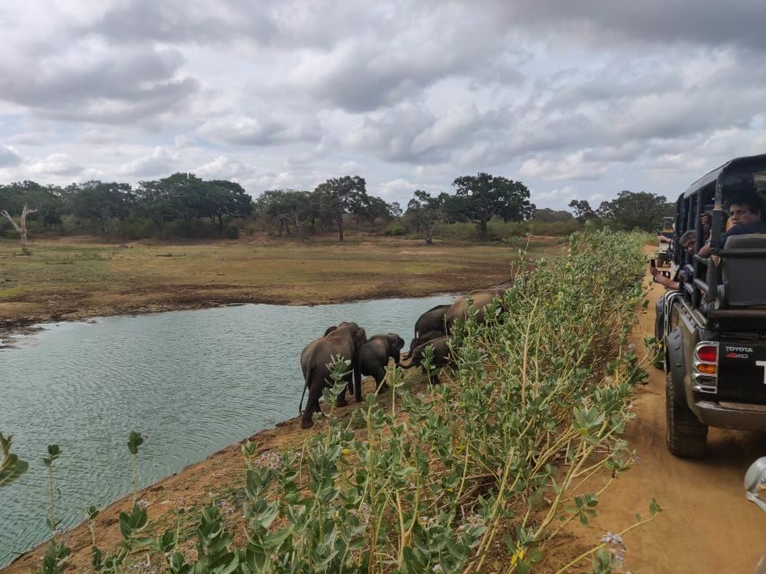 Sri Lanka: Yala National Park Private Safari - The driver-tracker role: why it can make or break your day