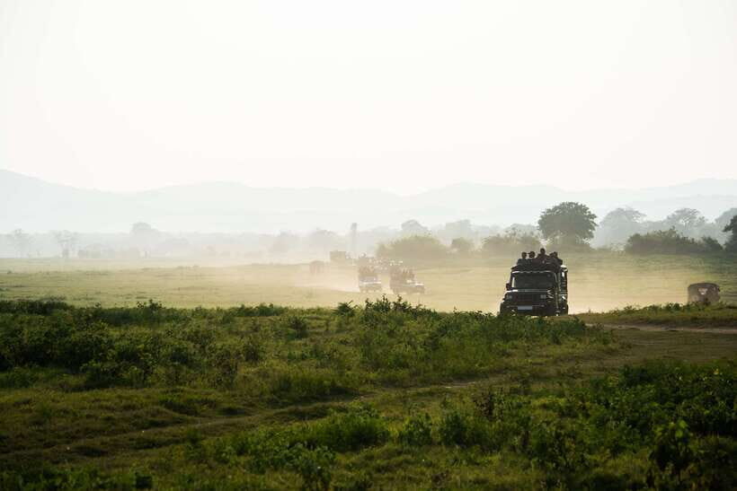 Tangalle/Hiriketiya: Yala National Park Safari in a 4x4 - Key Points You’ll Actually Care About