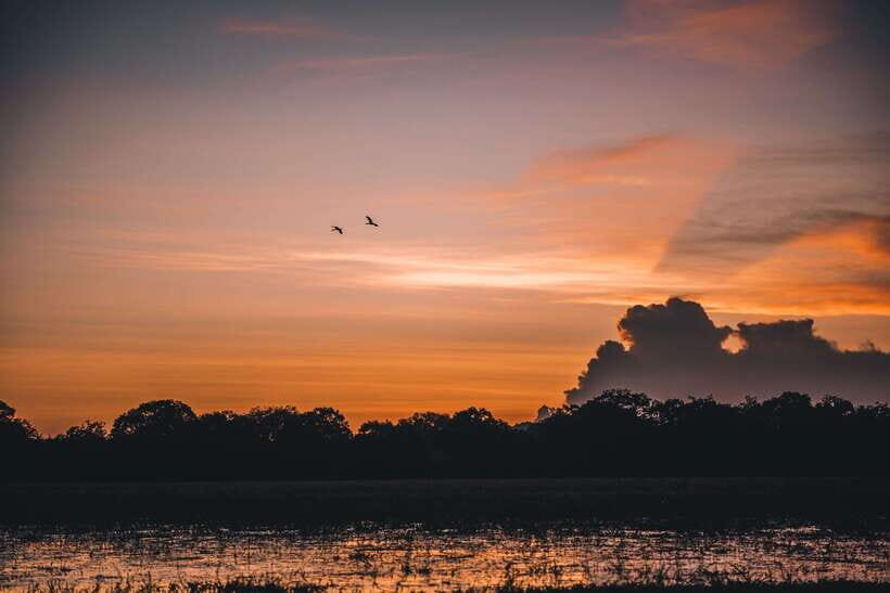 Tangalle/Hiriketiya: Yala National Park Safari in a 4x4 - From Tangalle to Ruhunu Yala: What This 7-Hour Safari Really Means