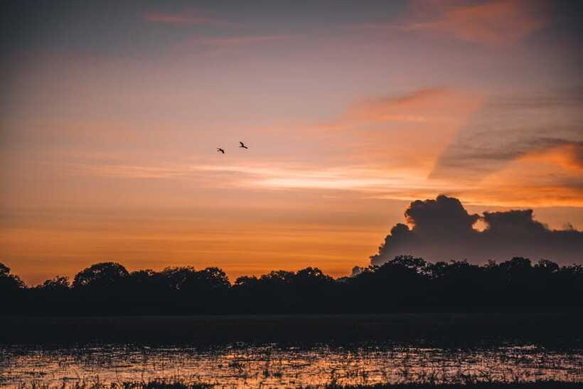 Tangalle/Hiriketiya: Yala National Park Safari in a 4x4 - Group Size and the Feel of the Jeep Ride