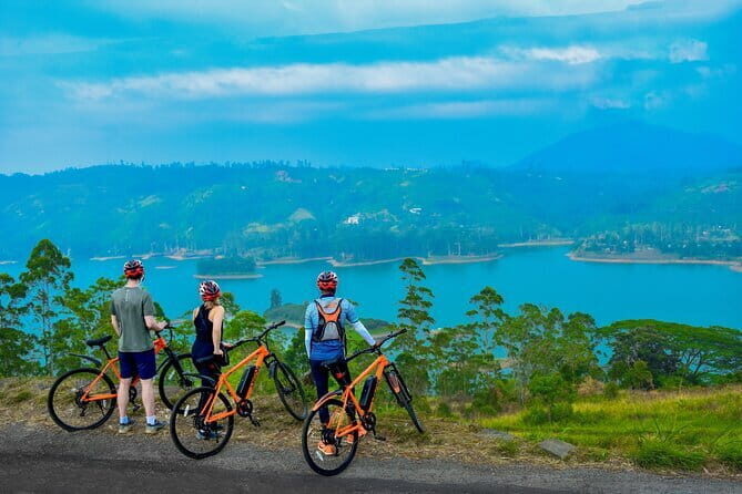 Tea Loops E-Biking - Tea Loops E-Biking: a smart way to see tea country fast