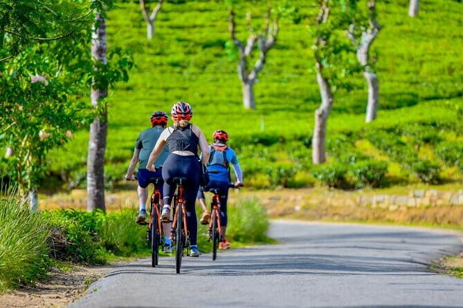 Tea Loops E-Biking - Price and value: is $45 a good deal here?