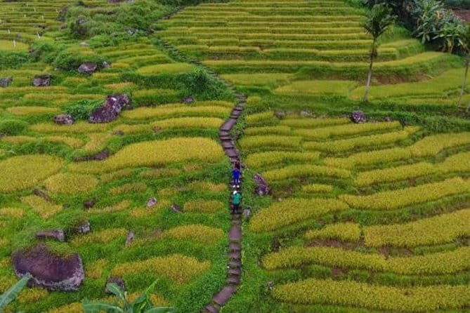 Tea Loops E-Biking - Who this e-bike tea tour fits best