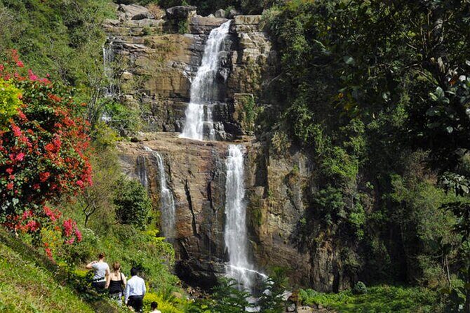 Tea Plucking and Tea Factory: Visit from Nuwara Eliya - Getting There: A Comfort-Focused Ride From Your Nuwara Eliya Hotel