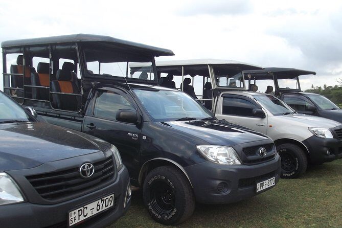The Best Safari tour from Hambantota Port (Janaka safari) - Key highlights you’ll feel in the jeep