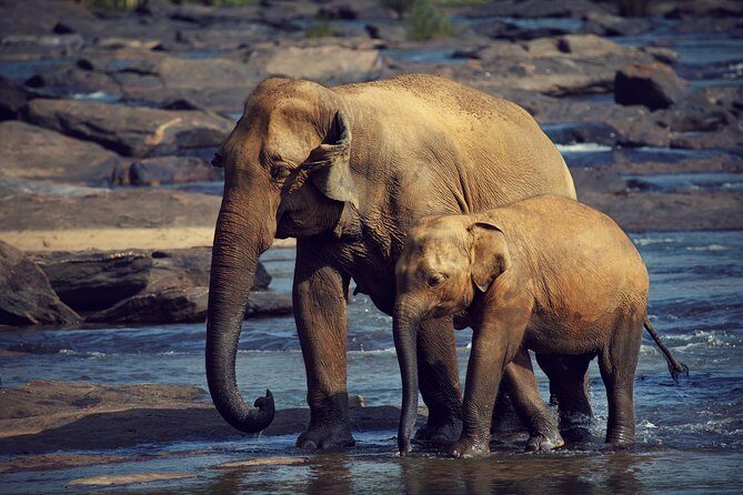 The Most popular Personalized round Tour In Sri Lanka-Day Charged - Day 4: Ella waterfalls, Little Adam’s Peak views, and Nine Arches Bridge