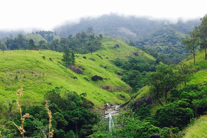 The Most Recommended Round Tour in Sri Lanka - Guides Like Lashan and Pubudu: What the Feedback Gets Right