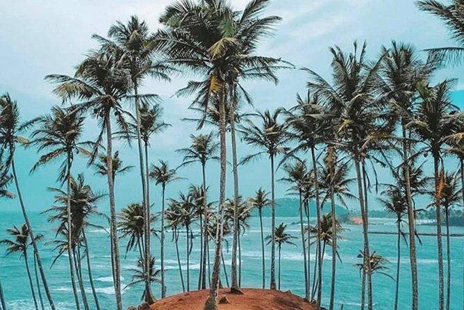 The Most Recommended Round Tour in Sri Lanka - What You Should Pack (Because the Itinerary Gives You No Choice)