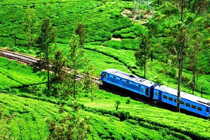 Train Tickets from Nanuoya (NuwaraEliya) to Ella - Key Points at a Glance