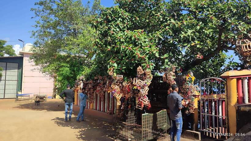 Trincomalee: City Tour with Koneswarm and Crocodile lake - Crocodile Lake, fish market energy, and Patrakali Temple