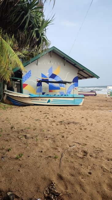 Trincomalee: Dolphin & Whale Watching Boat Tour - Trincomalee’s Nilaveli morning: when the ocean wakes up
