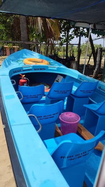 Trincomalee: Dolphin & Whale Watching Boat Tour - Spotting targets: spinner dolphins and the whale-size odds