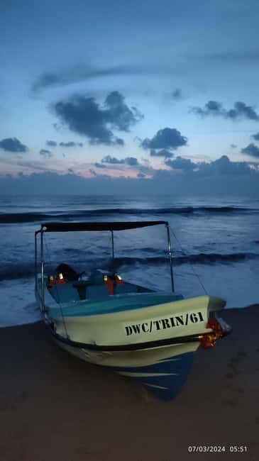 Trincomalee: Dolphin & Whale Watching Boat Tour - Who should go, and who should skip it