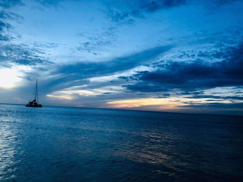 Trincomalee : Whale & dolphin watching +pigeon island tour - The coastline swim stop: quick, scenic, and worth planning for