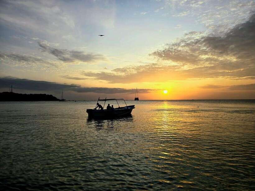 Trincomalee : Whale & dolphin watching +pigeon island tour - Hotel pickup to two beach boarding points (yes, there may be transfers)