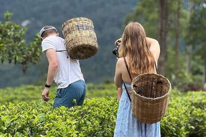 Tuk Tuk Nuwara Eliya Tea Falls Adventure - Key highlights you’ll feel right away