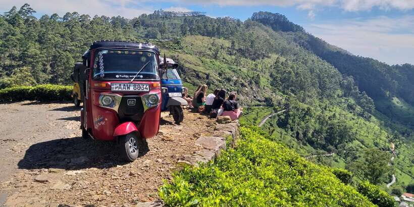 Tuk-Tuk Safari Liptons seat,Tea Fields Hike,TeaFactory Tour - Picnic Lunch in the Countryside: Simple, Scenic, and Sometimes Indoors