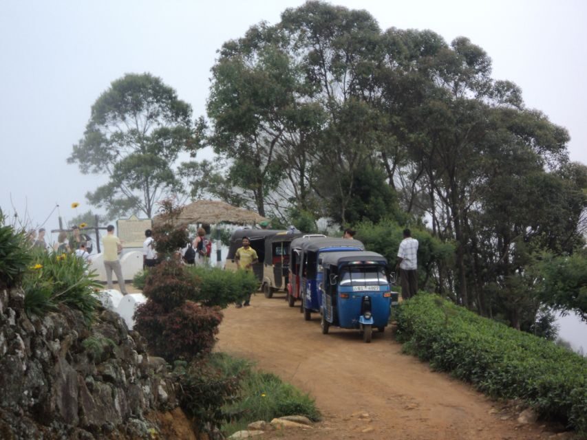 Tuk-Tuk Safari Liptons seat,Tea Fields Hike,TeaFactory Tour - Timing, Pacing, and What You’ll Actually Be Doing