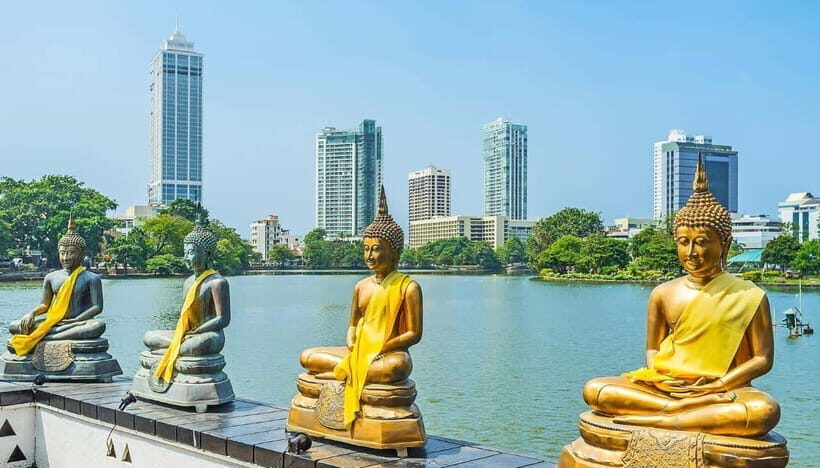 Tuk Tuk Tales of Colombo From Cruies - Markets and street-level Colombo stories from the open-air ride