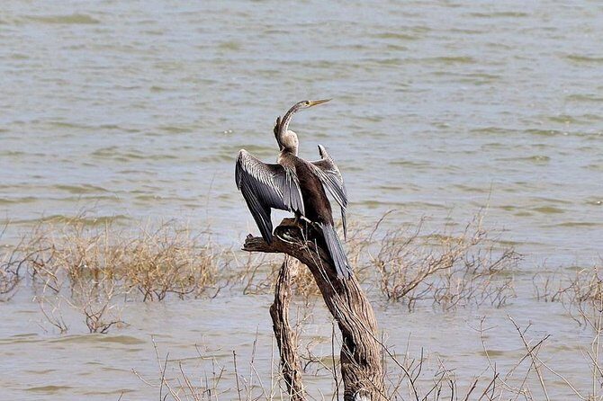 Udawalawa National Park half day Safari - Where Udawalawe fits in your Sri Lanka route