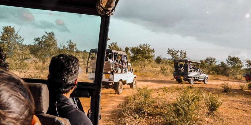 Udawalawa National Park: Private Safari - Udawalawa’s Best Trick: Big Wildlife Without the Rush