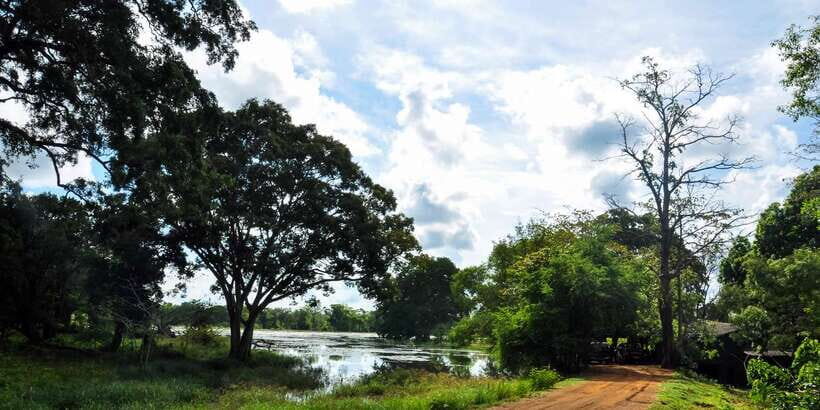 Udawalawa National Park: Private Safari - Elephants: The Main Event (And Why This Park Delivers)