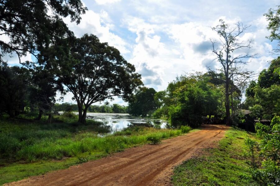 Udawalawa National Park: Private Safari - Other Wildlife You Can Reasonably Hope For