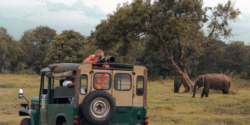 Udawalawa National Park: Private Safari - What’s Included (And What You Should Prepare for)