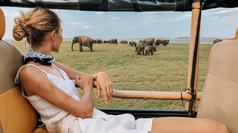 UDAWALAWA SAFARI TOUR from HAMBANTOTA PORT (Shore Excursion) - Price reality check: does $51 per person feel fair?