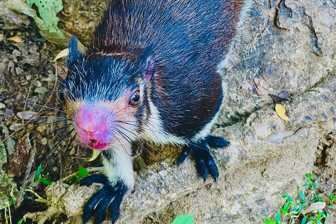 Udawalawa Wild Life Safari - Breakfast or lunch in nature: the underrated value move